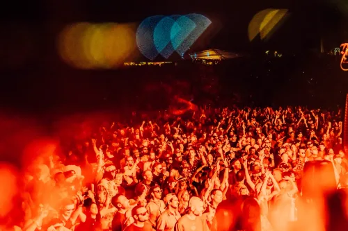 Sefse.webp